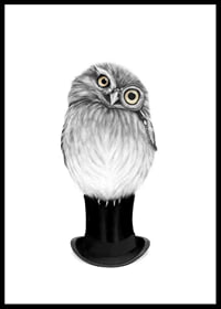 Teverad owl with monocle and top hat by Sanna Wieslander-0