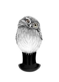 Teverad owl with monocle and top hat by Sanna Wieslander-1