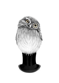 Sanna Wieslander Sharp Eyed Owen-1