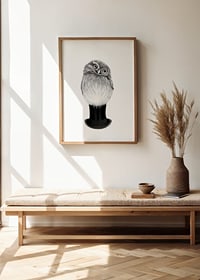 Teverad owl with monocle and top hat by Sanna Wieslander-2