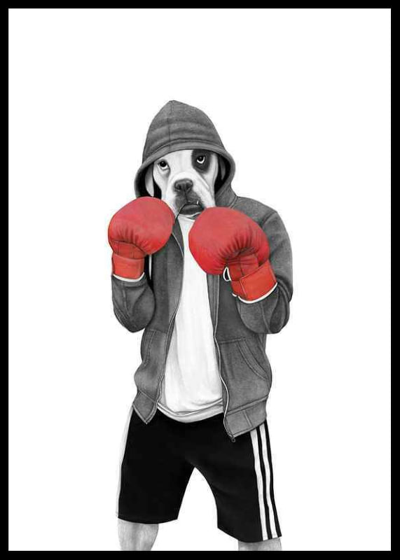 Poster Sanna Wieslander Street Boxer