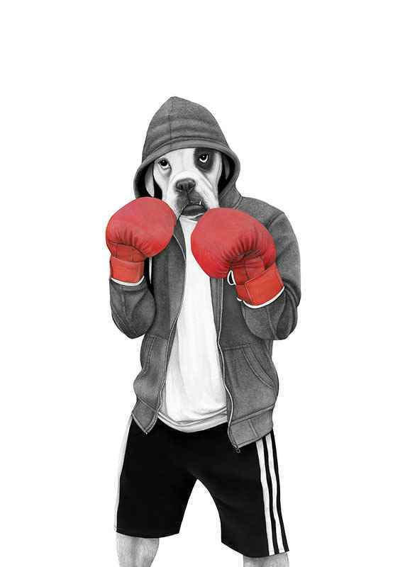 Geïllustreerde boxerhond met bokshandschoenen en grijze hoodie-12