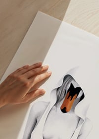 Illustrated woman with hood and swan head as face-3