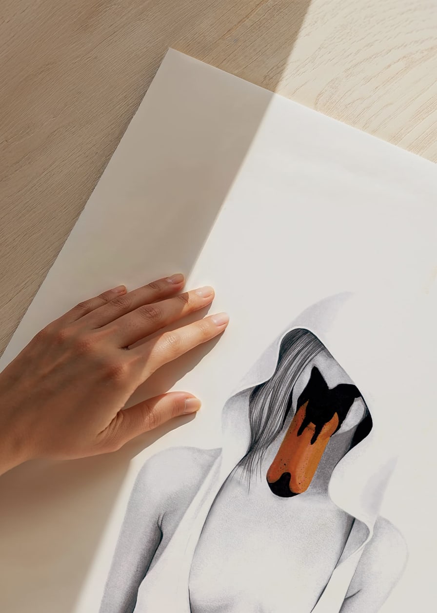 Illustrated woman with hood and swan head as face-12