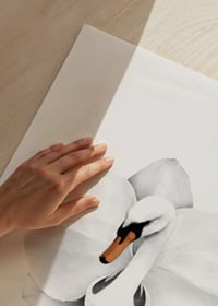 Handritad svan med orkidéblad i svartvitt av Sanna Wieslander-3