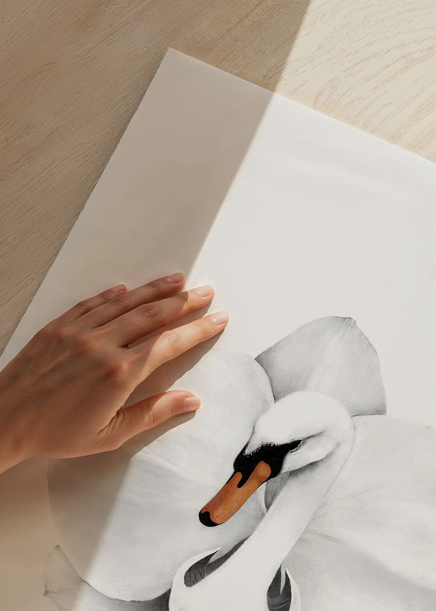 Sanna Wieslander Swan Orchid-12