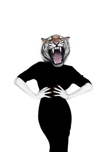 Poster Sanna Wieslander Wilma Wildcat