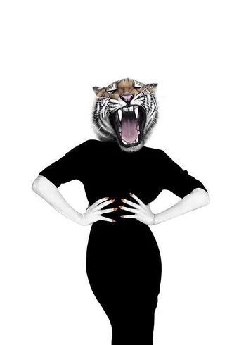 Poster Sanna Wieslander Wilma Wildcat