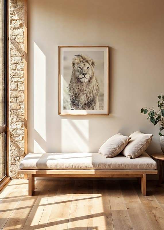 Close-up of lion with bright mane against blurred savannah background-12