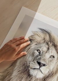 Close-up of lion with bright mane against blurred savannah background-9