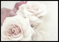 Close-up of bright roses in pink tones with soft blur-6