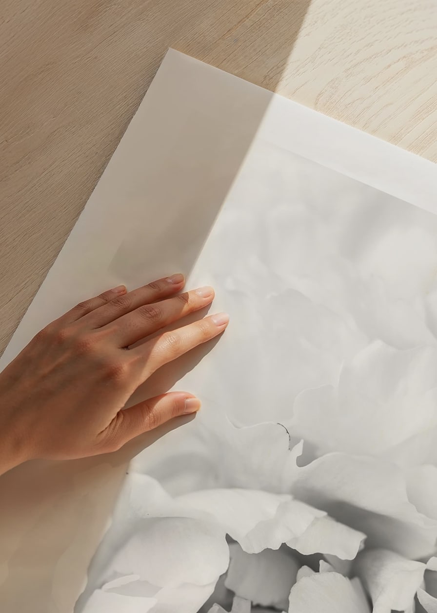 Close-up of white peony with soft flower petals, photographic style-12