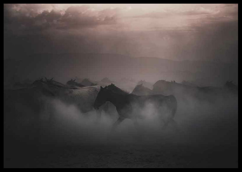 Sunset Horses-12