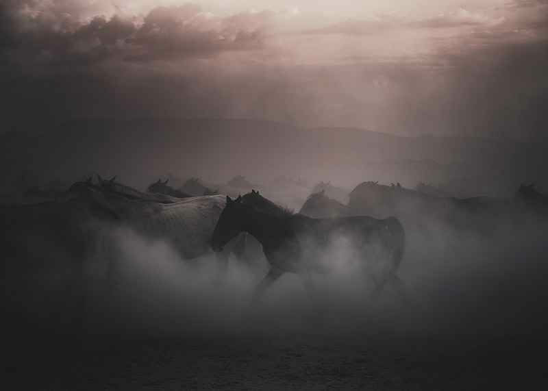 Sunset Horses-12