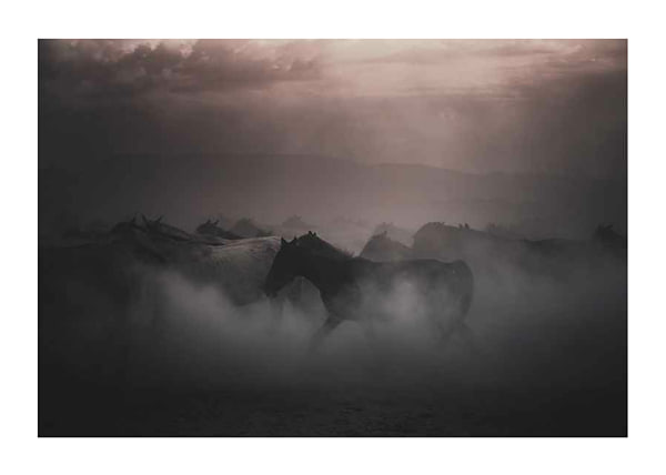 Juliste Sunset Horses