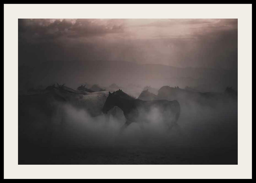 Photographie de chevaux se déplaçant dans le brouillard au coucher du soleil-12