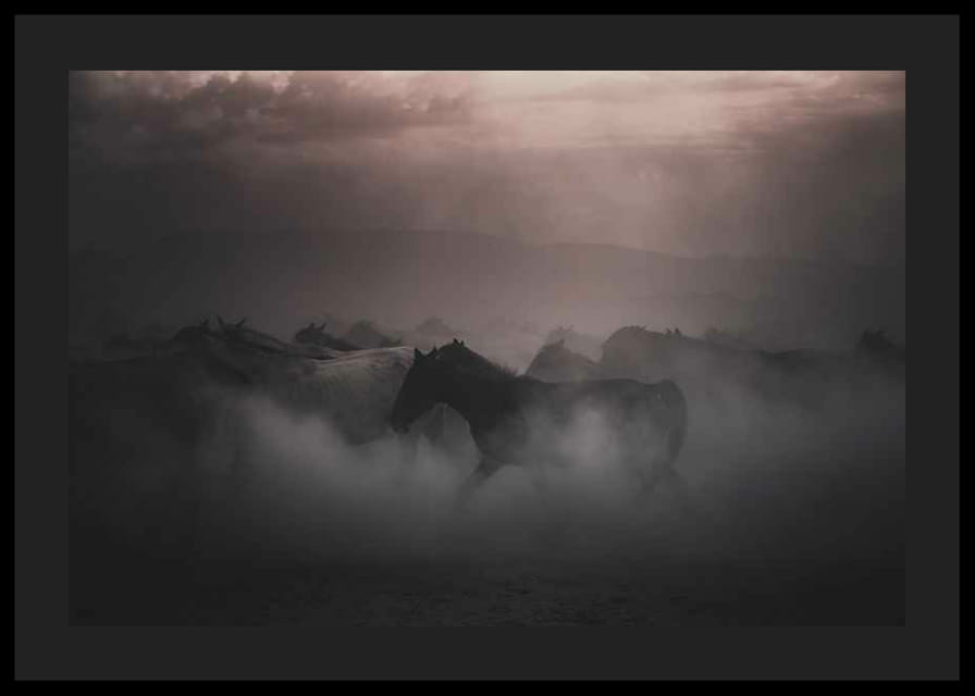 Photographie de chevaux se déplaçant dans le brouillard au coucher du soleil-12