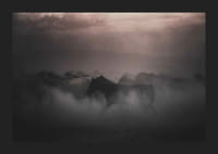 Photographie de chevaux se déplaçant dans le brouillard au coucher du soleil-5