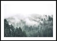 Fog-shrouded spruce forest with soft green tones and haze in the background-0