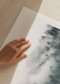 Fog-shrouded spruce forest with soft green tones and haze in the background-9