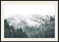 Fog-shrouded spruce forest with soft green tones and haze in the background-2
