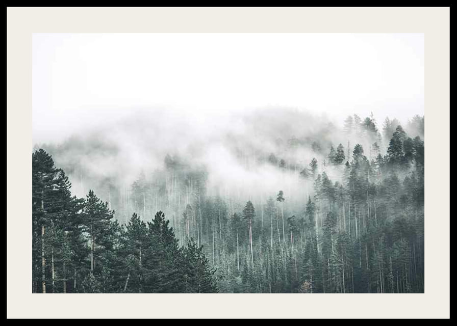 Nebelverhangener Fichtenwald mit sanften Grüntönen und Dunst im Hintergrund-12