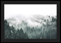 Fog-shrouded spruce forest with soft green tones and haze in the background-4