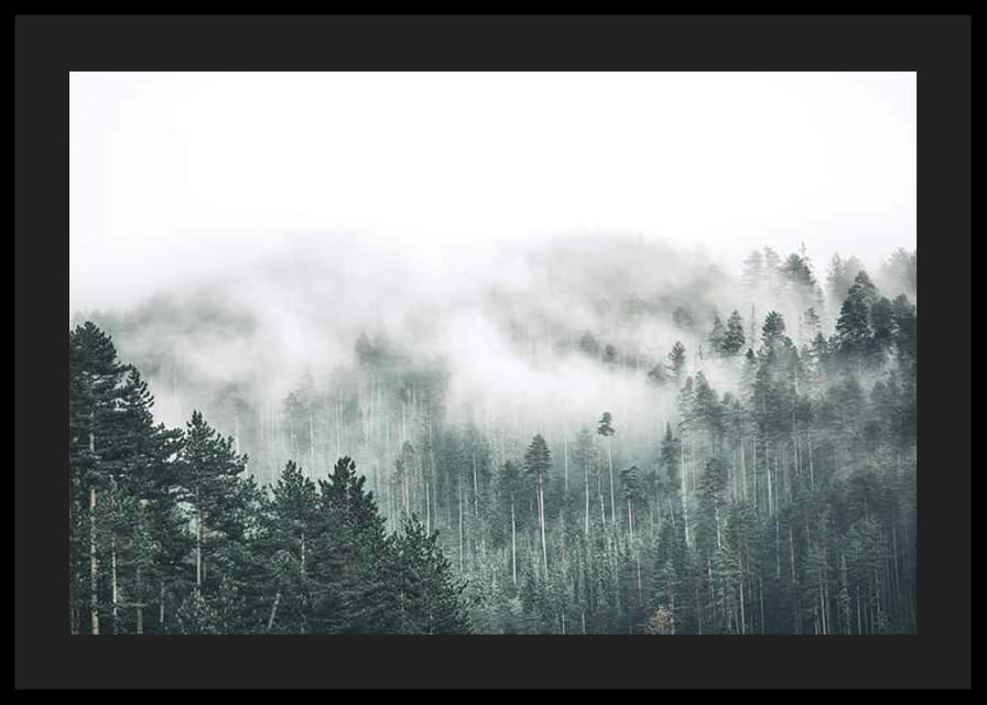 Nebelverhangener Fichtenwald mit sanften Grüntönen und Dunst im Hintergrund-12