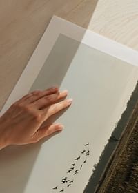 Birds Flyby-5