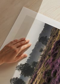 Photograph of open moorland landscape with purple heather and trees-9