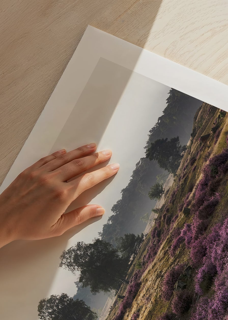 Photograph of open moorland landscape with purple heather and trees-12