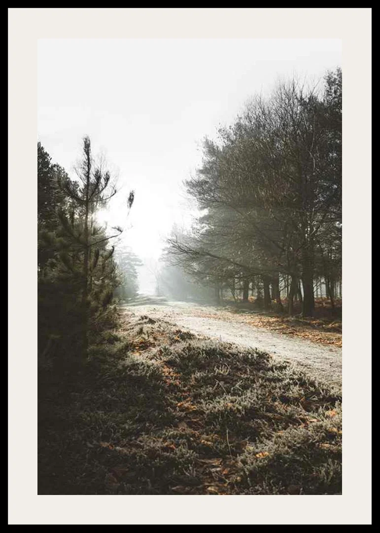 Gravel road through foggy forest with winter brown trees and frost-12