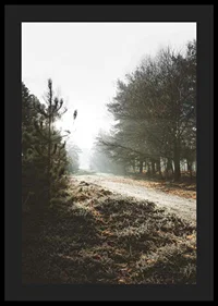 Gravel road through foggy forest with winter brown trees and frost-4