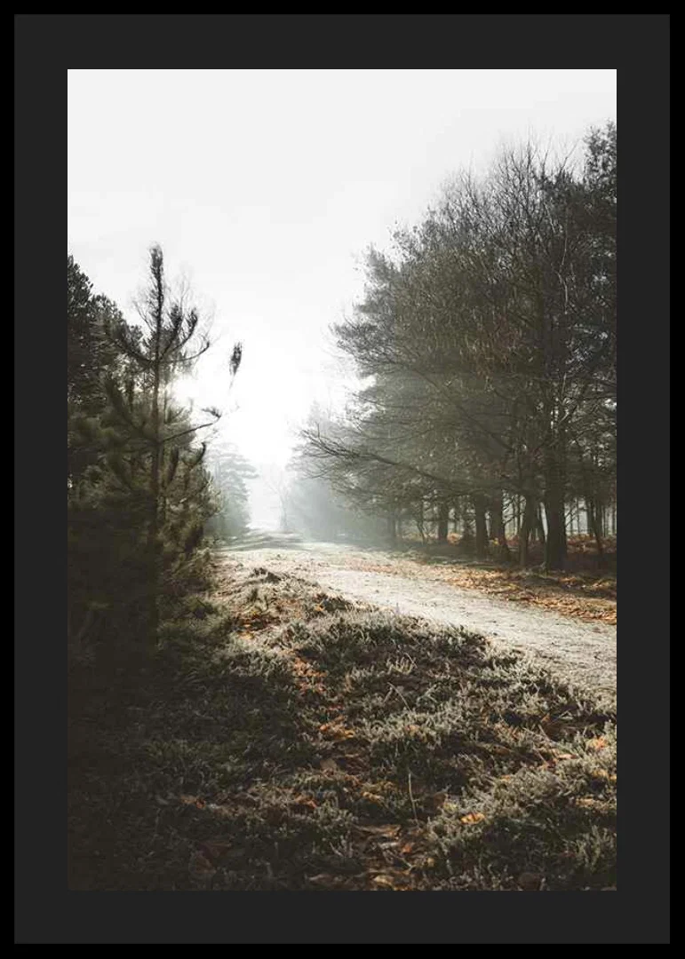 Gravel road through foggy forest with winter brown trees and frost-12