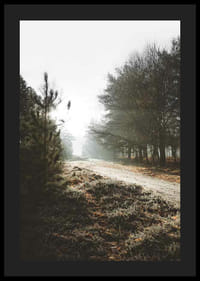 Grusvej gennem tåget skov med vinterbrune træer og frost-4