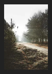 Gravel road through foggy forest with winter brown trees and frost-5