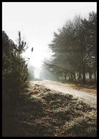 Gravel road through foggy forest with winter brown trees and frost-6