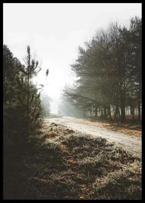 Gravel road through foggy forest with winter brown trees and frost-12