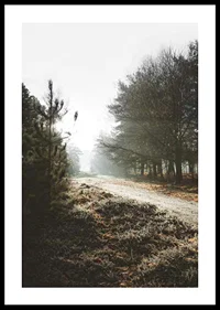 Gravel road through foggy forest with winter brown trees and frost-0