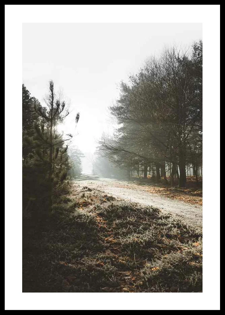 Gravel road through foggy forest with winter brown trees and frost-12
