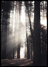 Yosemite Valley-2