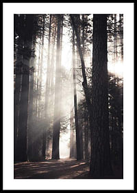 Yosemite Valley-0