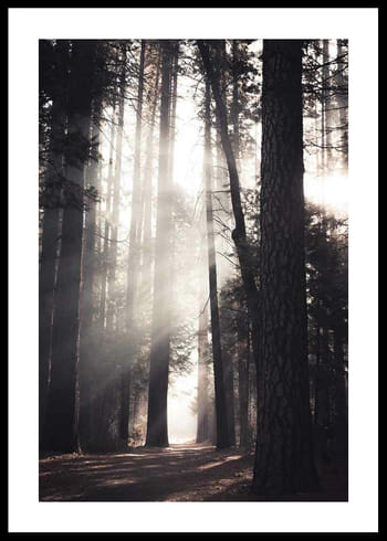 Poster Yosemite Valley