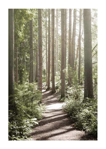 Poster Green Forest