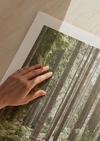 Green Forest-5