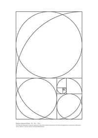 Black and white lines forming Fibonacci spiral and rectangles-1