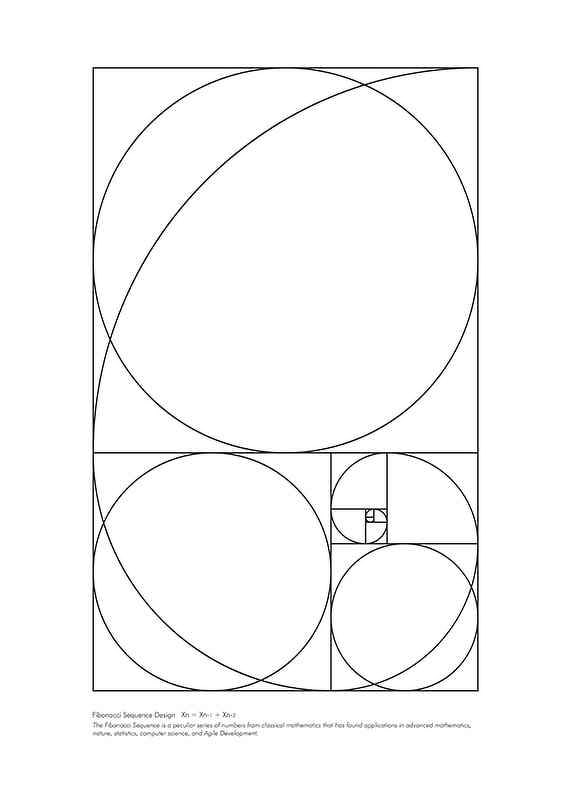 Black and white lines forming Fibonacci spiral and rectangles-12