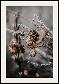 Nærbilde av tørkede planter i beige og brune høsttoner-2