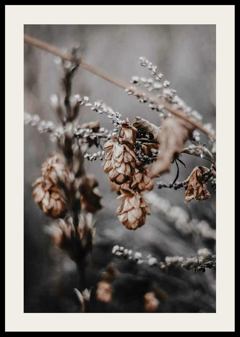 Nærbilde av tørkede planter i beige og brune høsttoner-12