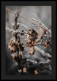Nærbilde av tørkede planter i beige og brune høsttoner-4